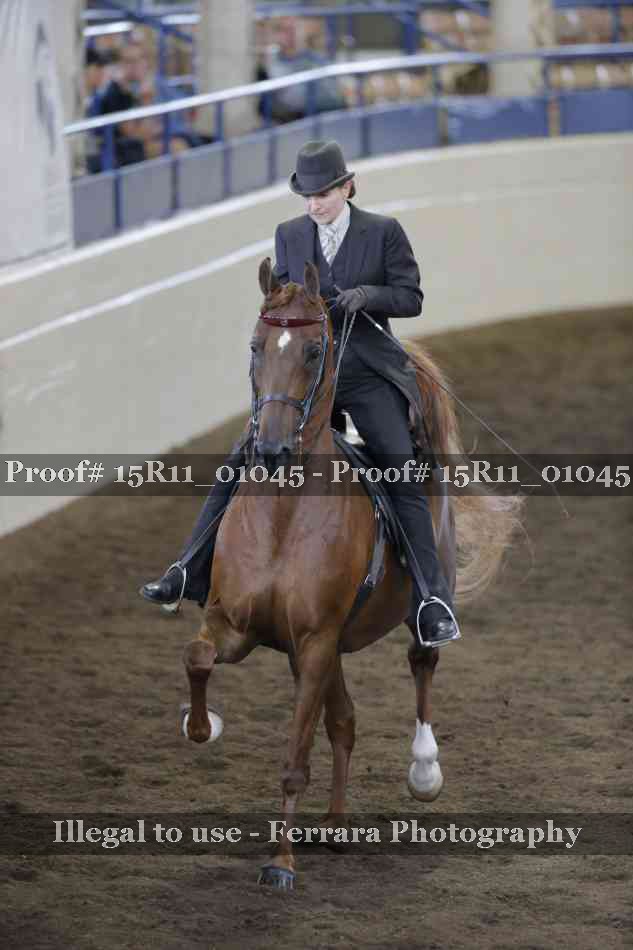 Proof 15R11_01045