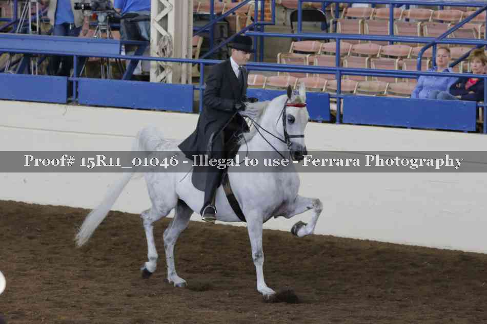 Proof 15R11_01046