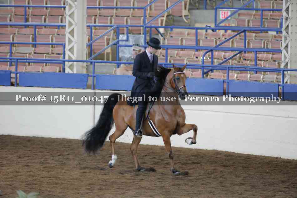 Proof 15R11_01047
