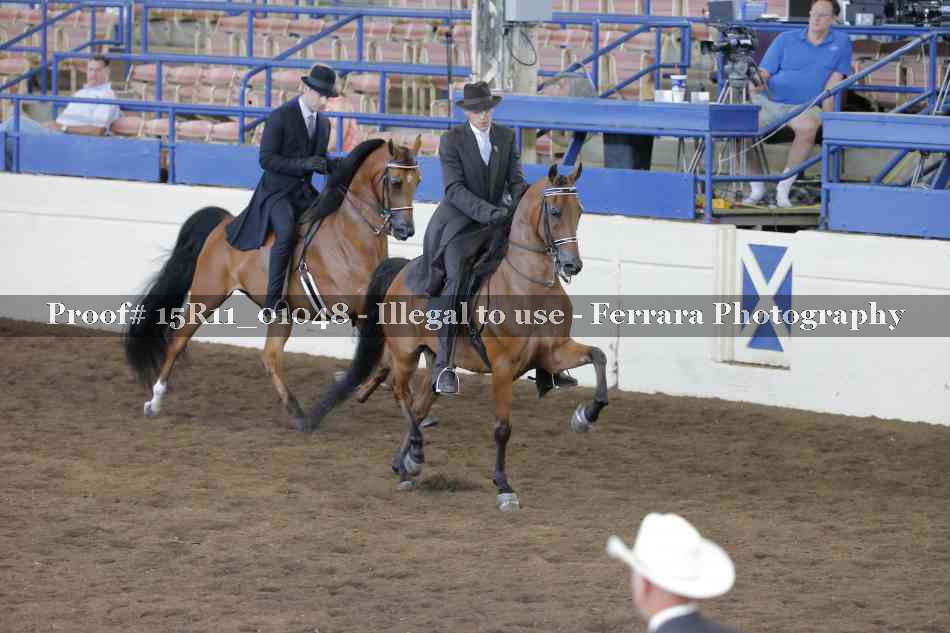 Proof 15R11_01048