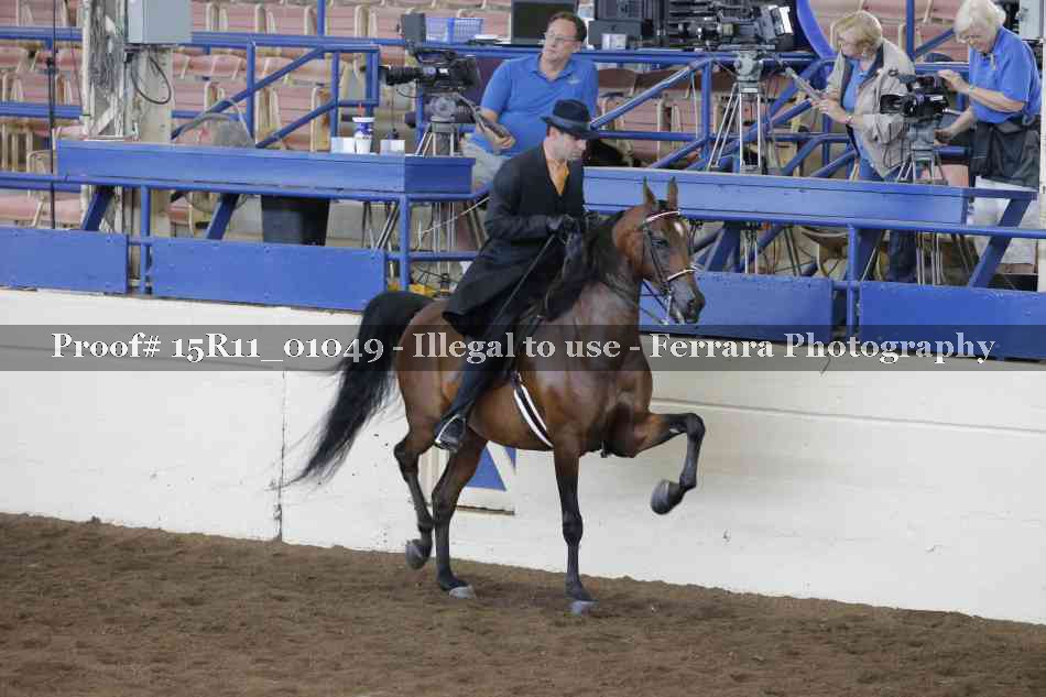 Proof 15R11_01049