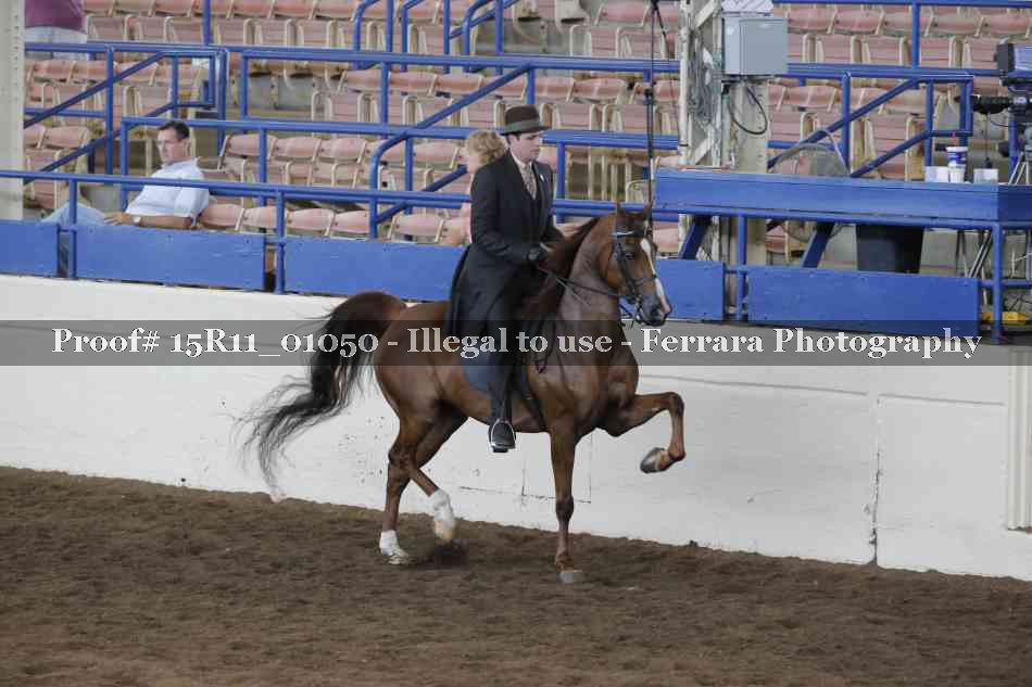 Proof 15R11_01050
