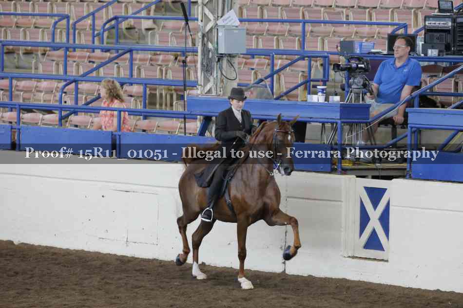 Proof 15R11_01051