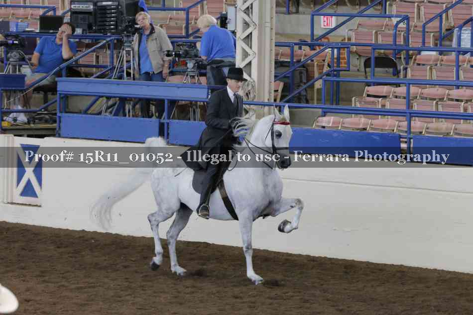 Proof 15R11_01052