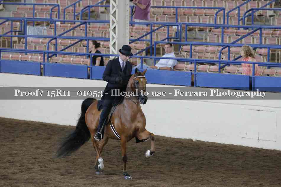 Proof 15R11_01053