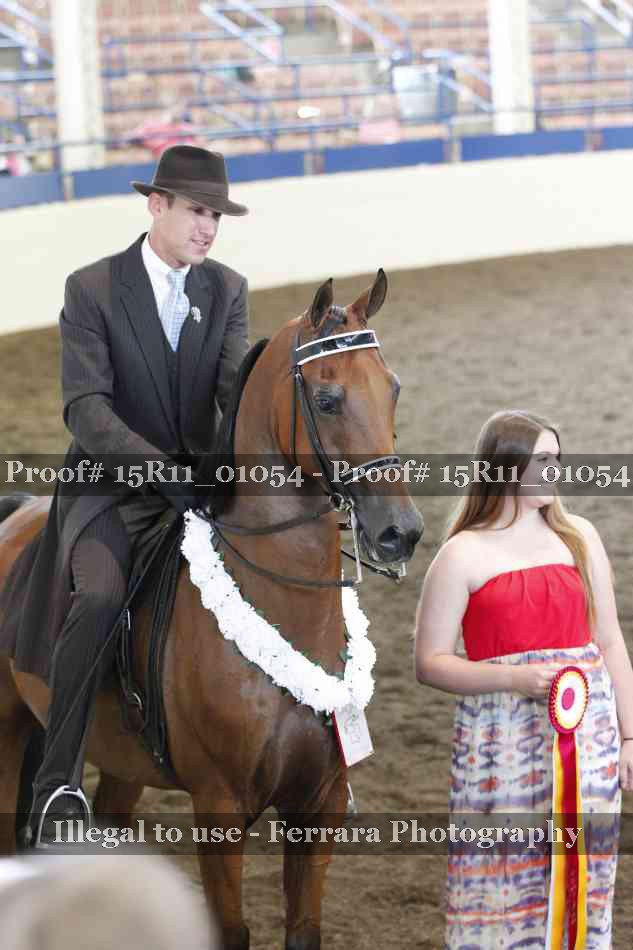 Proof 15R11_01054