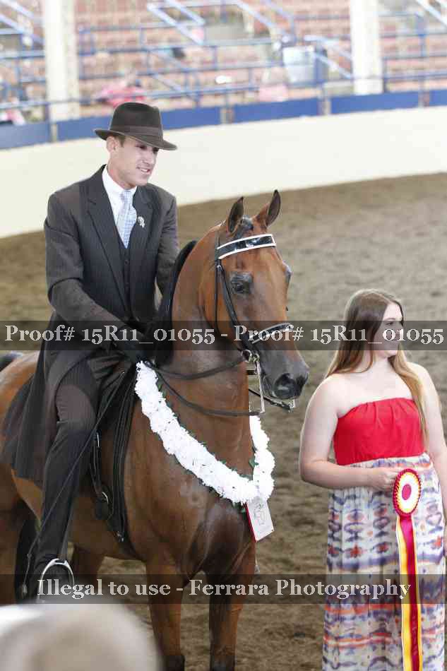 Proof 15R11_01055