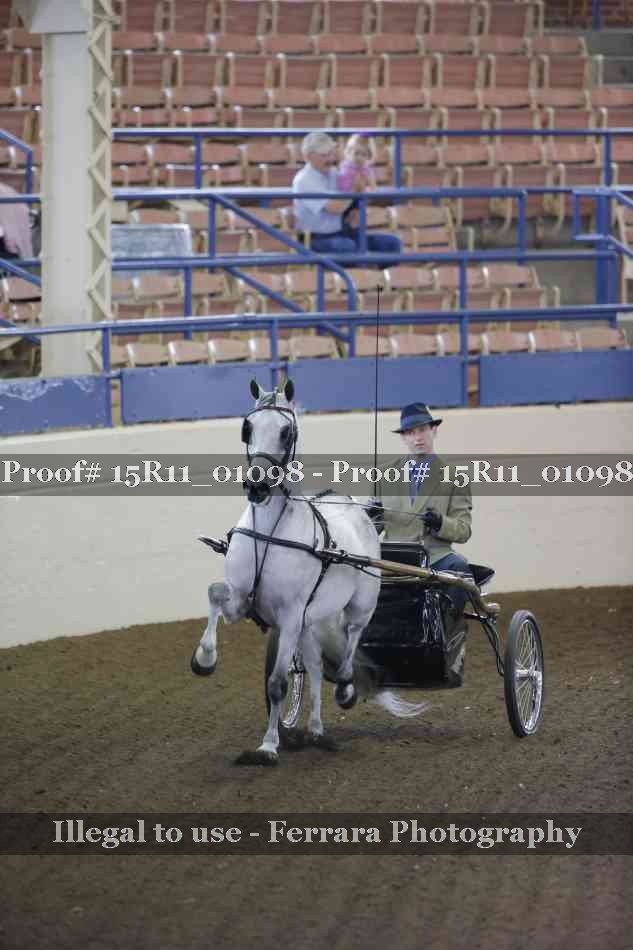 Proof 15R11_01098