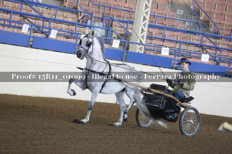 Proof 15R11_01099