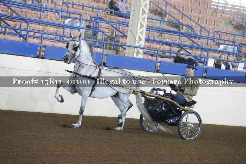 Proof 15R11_01100