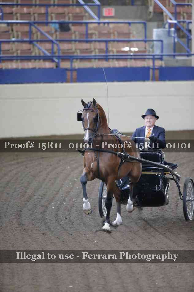 Proof 15R11_01101