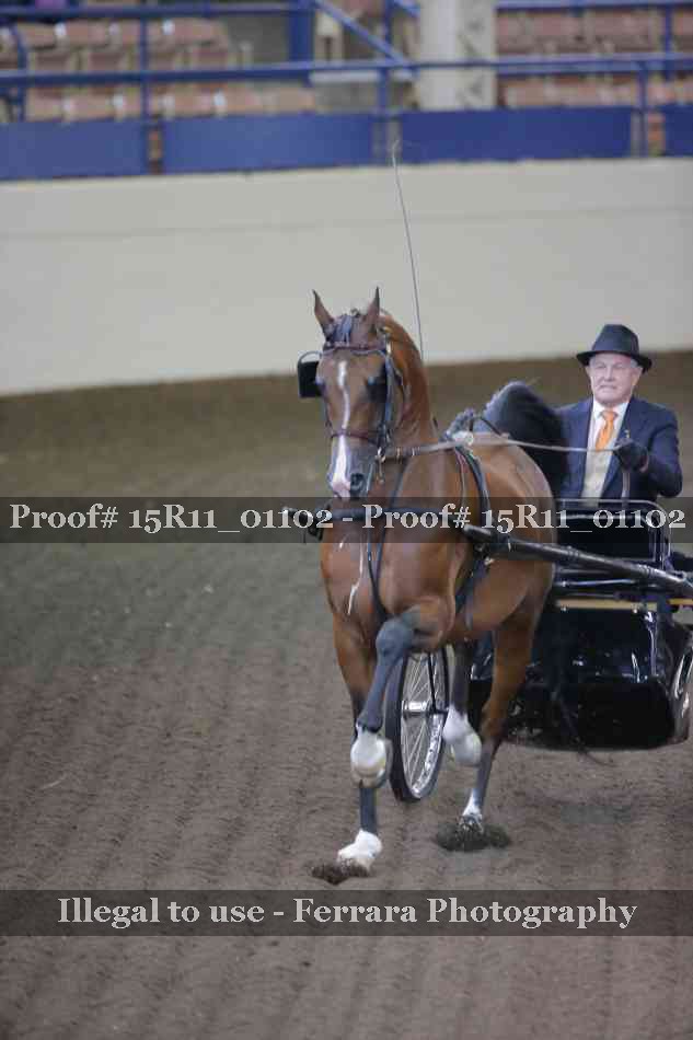 Proof 15R11_01102