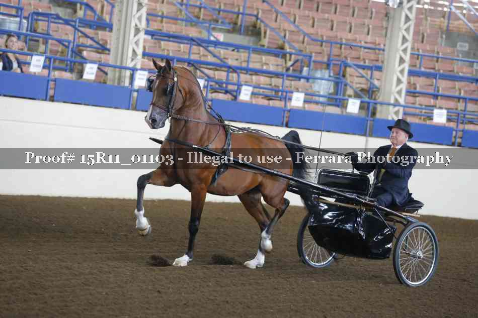 Proof 15R11_01103