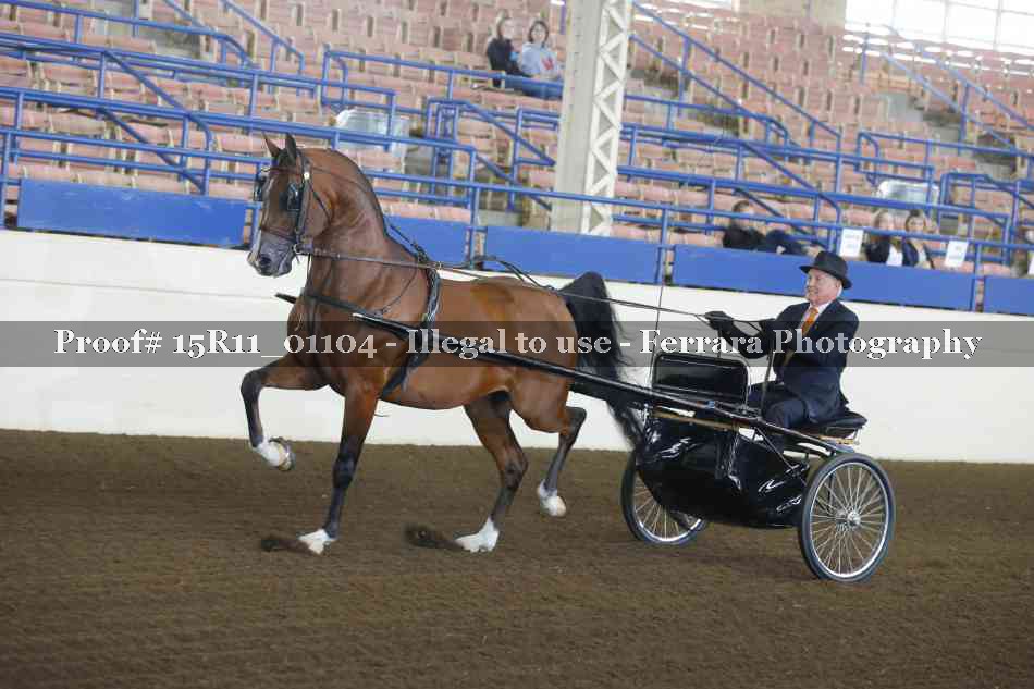 Proof 15R11_01104