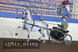 15R11_01105 proof