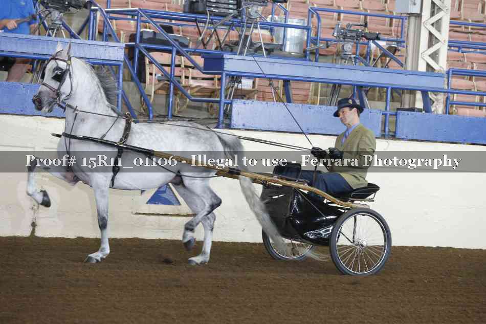 Proof 15R11_01106