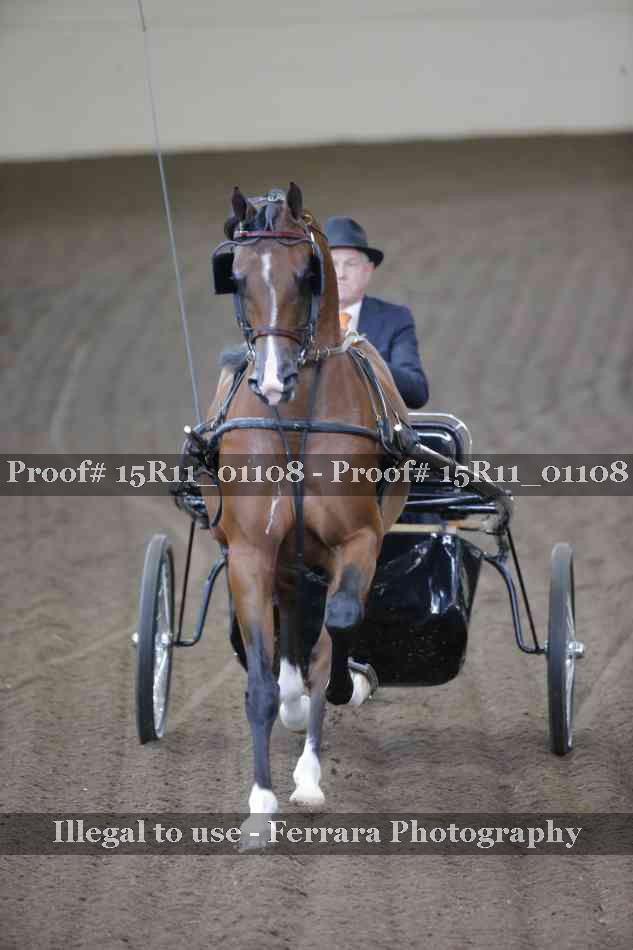 Proof 15R11_01108