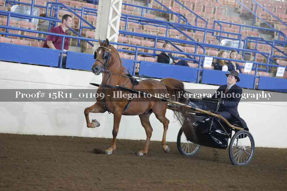 Proof 15R11_01109
