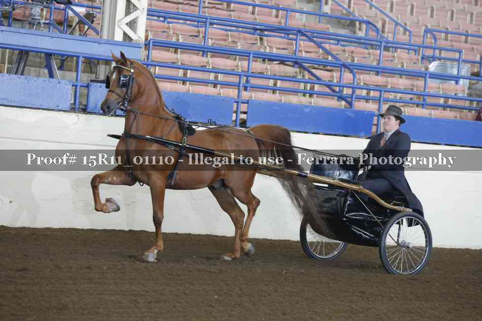 Proof 15R11_01110