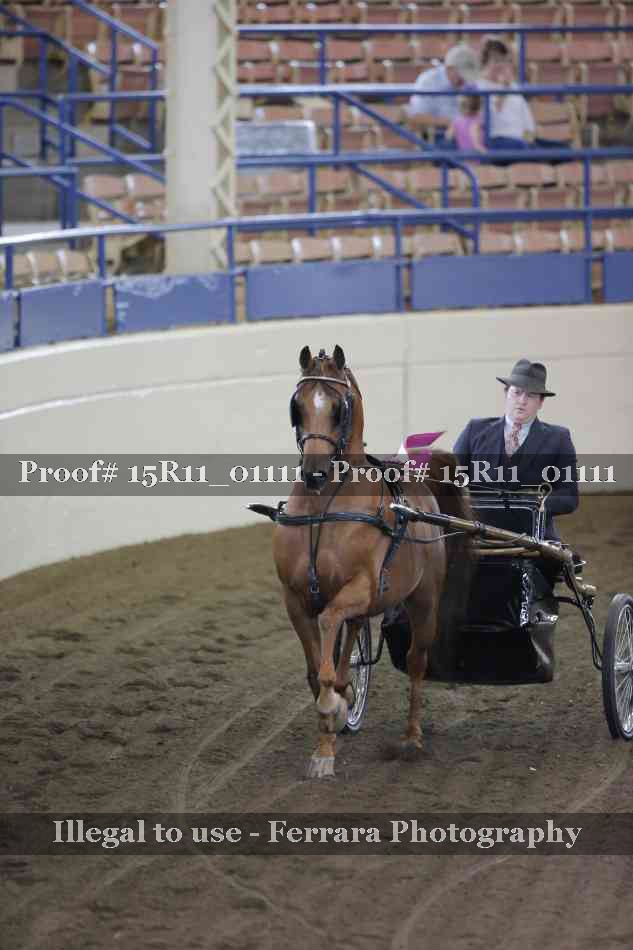 Proof 15R11_01111