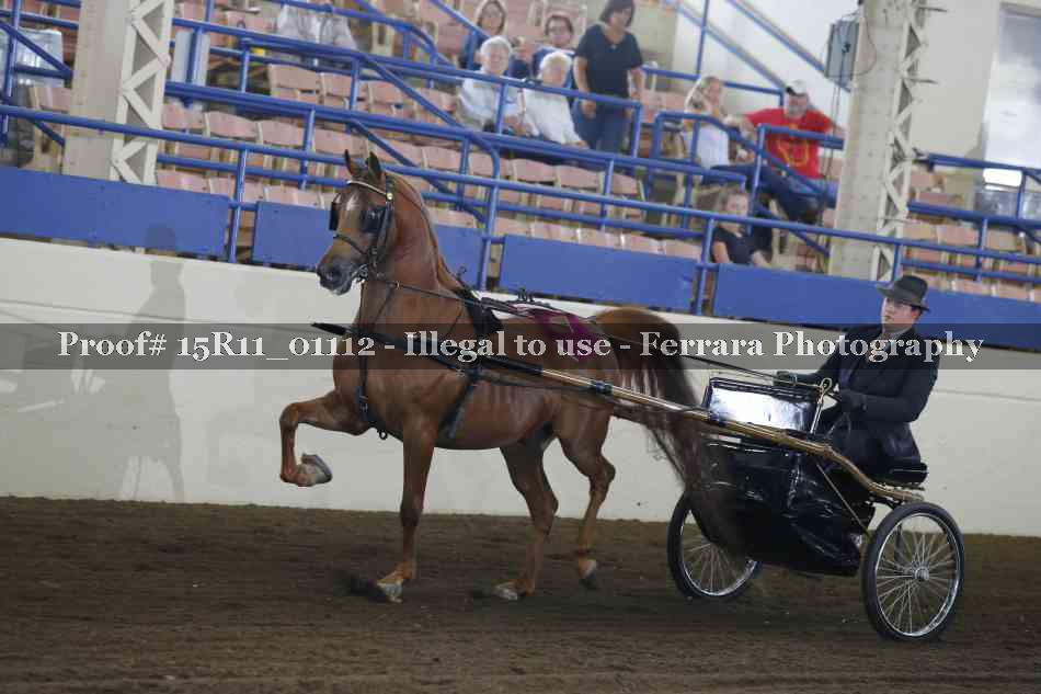 Proof 15R11_01112