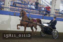 15R11_01112 proof