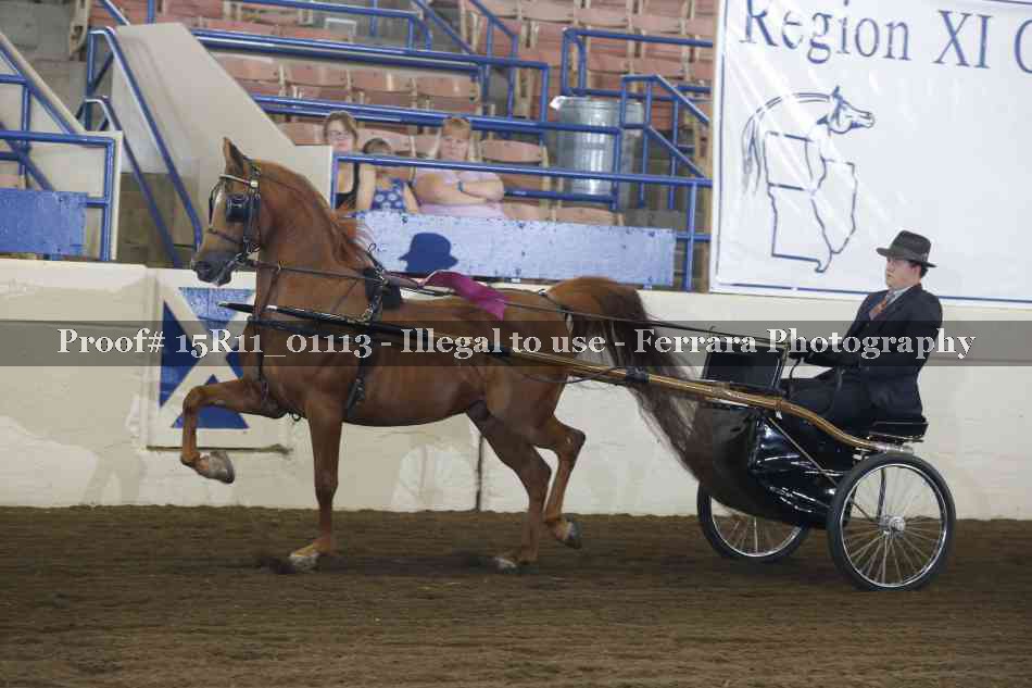 Proof 15R11_01113