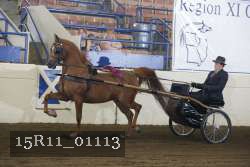 15R11_01113 proof