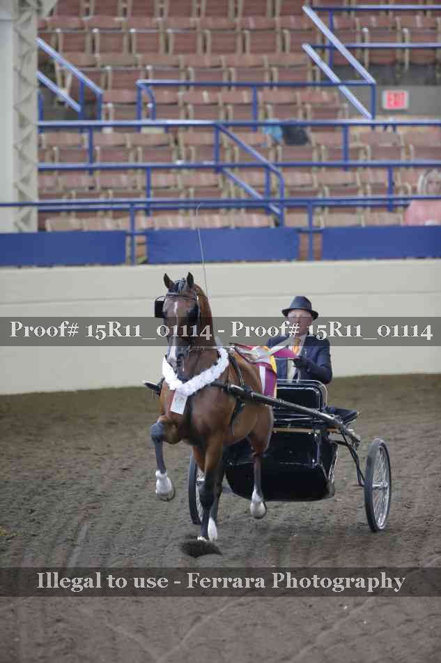 Proof 15R11_01114