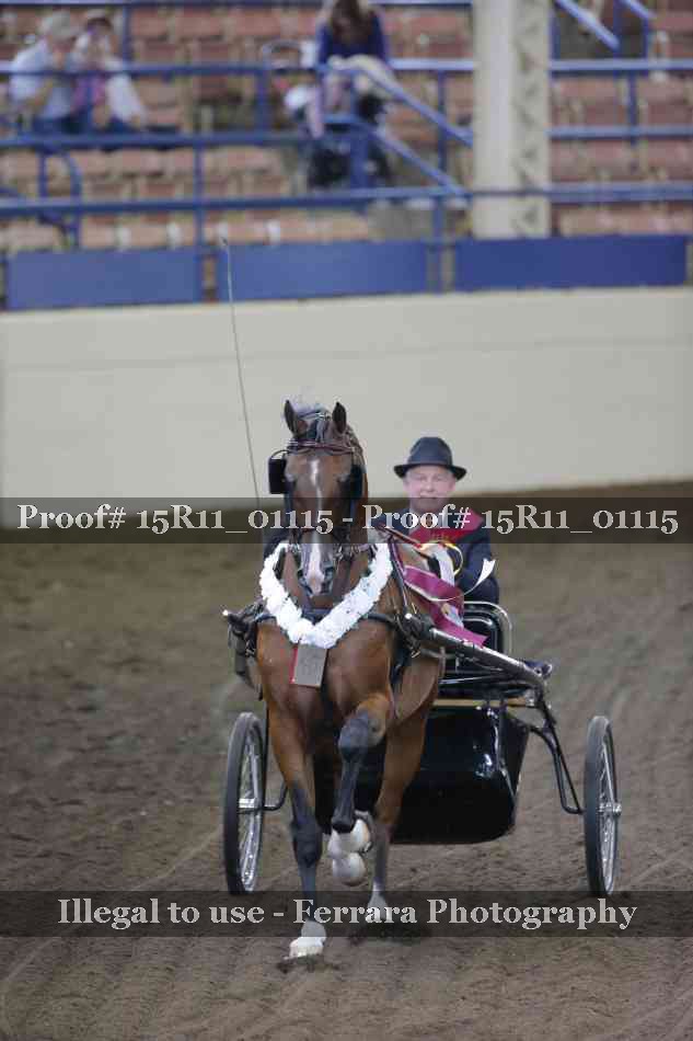 Proof 15R11_01115