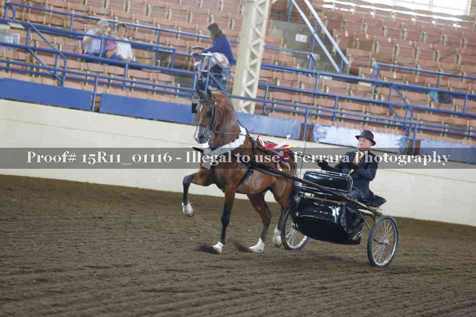 Proof 15R11_01116