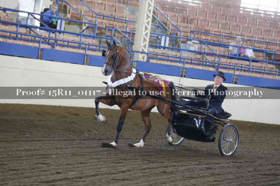 Proof 15R11_01117