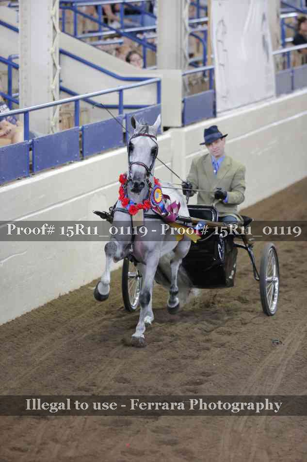 Proof 15R11_01119