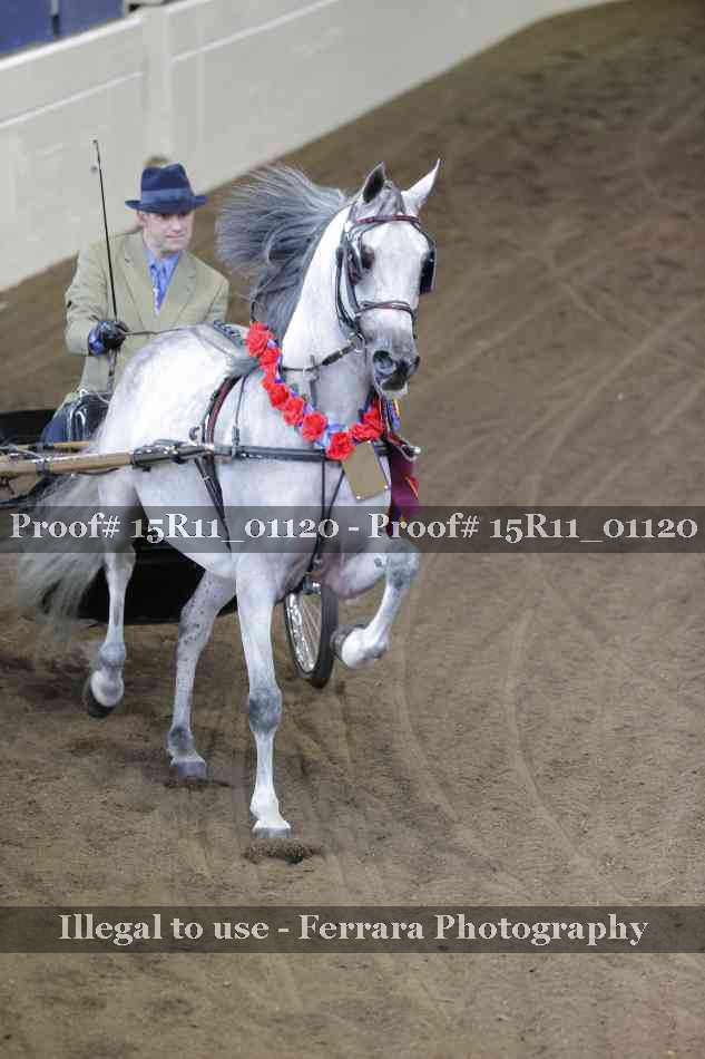 Proof 15R11_01120