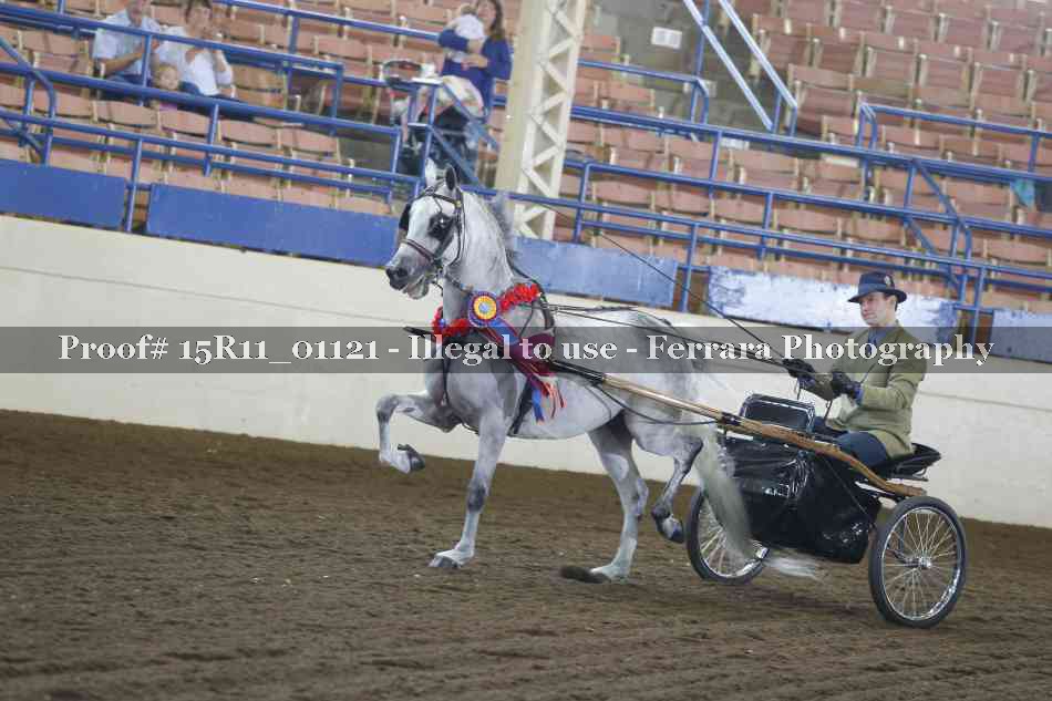 Proof 15R11_01121