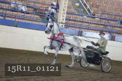 15R11_01121 proof