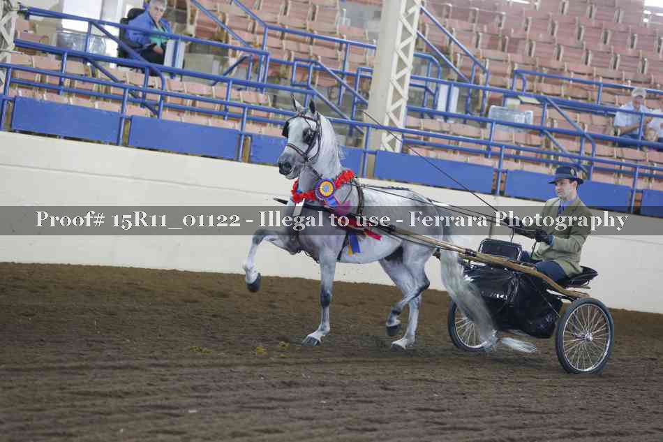 Proof 15R11_01122