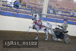 15R11_01122 proof