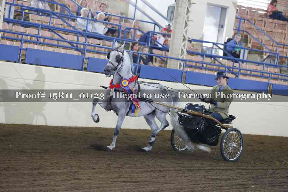 Proof 15R11_01123