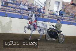 15R11_01123 proof