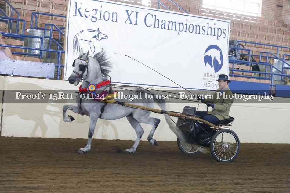 Proof 15R11_01124