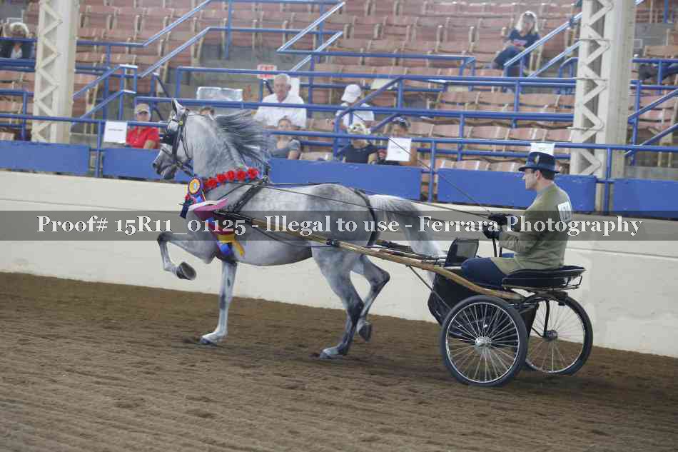 Proof 15R11_01125