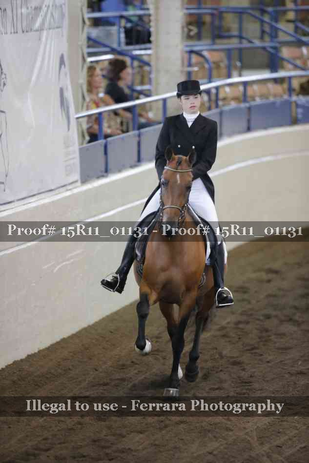 Proof 15R11_01131