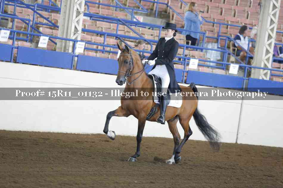 Proof 15R11_01132
