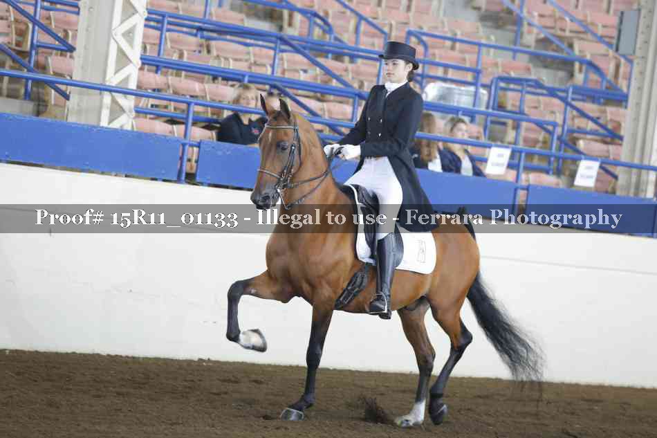 Proof 15R11_01133