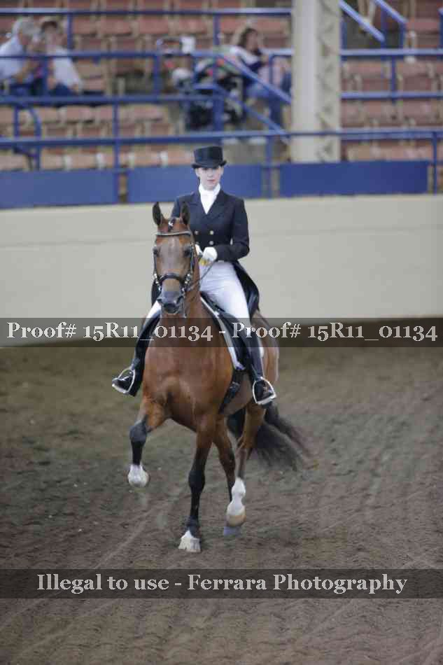Proof 15R11_01134
