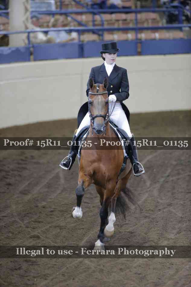 Proof 15R11_01135