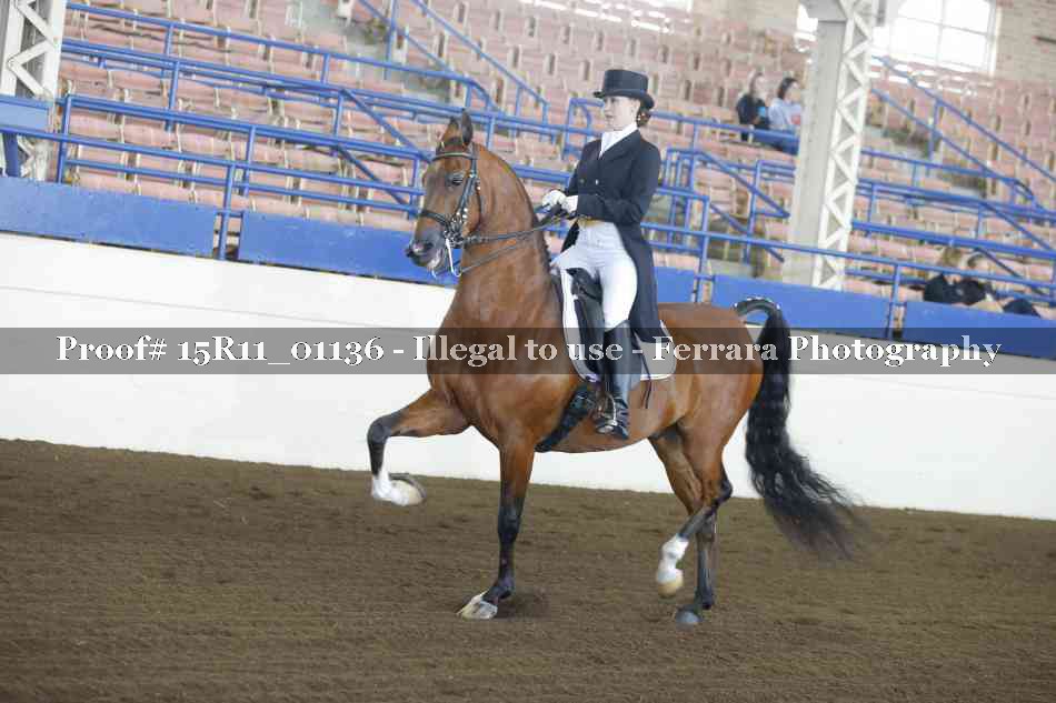 Proof 15R11_01136