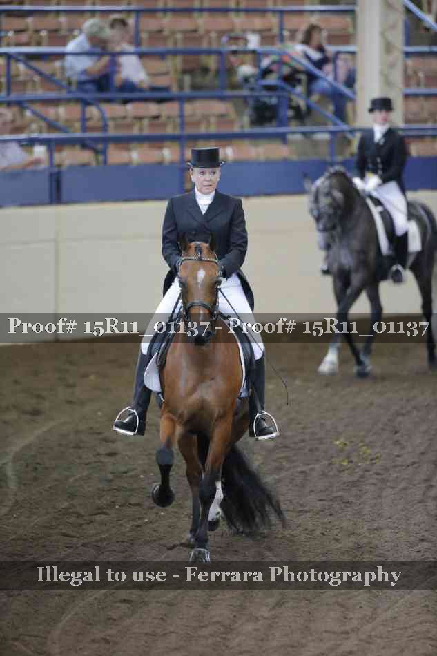 Proof 15R11_01137