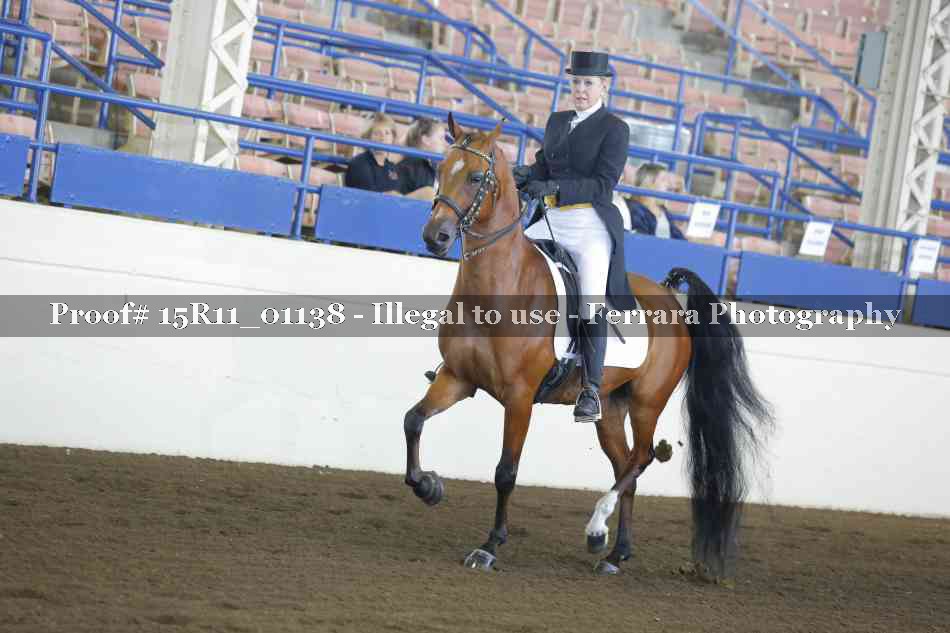 Proof 15R11_01138